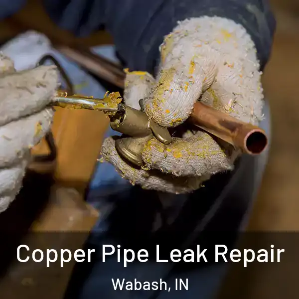  Copper Pipe Leak Repair Wabash, IN