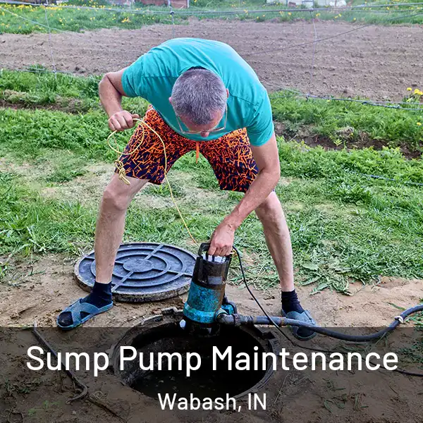  Sump Pump Maintenance Wabash, IN