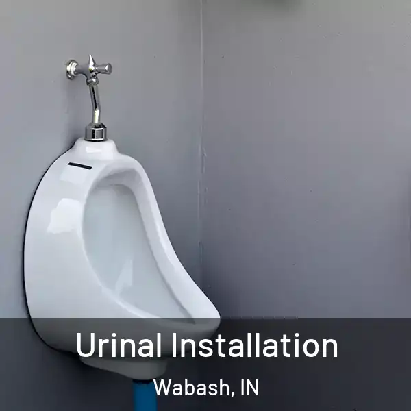  Urinal Installation Wabash, IN