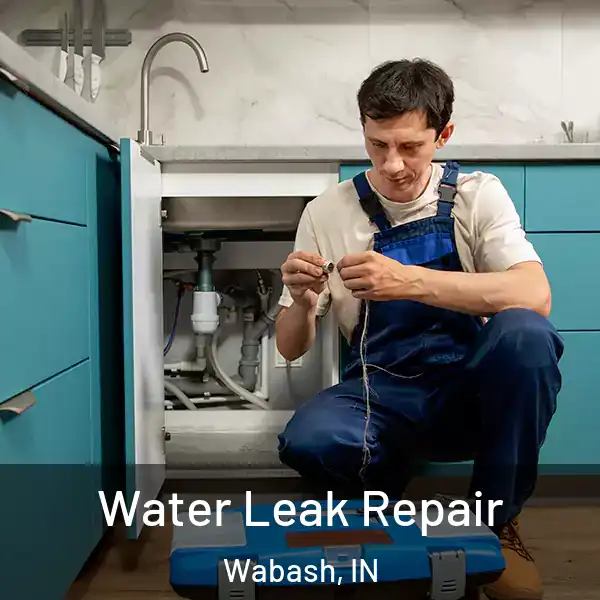  Water Leak Repair Wabash, IN